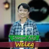 About Weleg Song