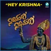 About Hey Krishna Song