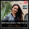 About Narın Yağış Song