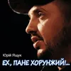 About Ех, пане хорунжий!... Song