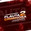 Flauta Criminosa 2