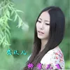 柳絮儿飞