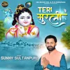 About Teri Murli Song