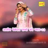 About Aasin Thekedar Sachho Kare Pyar, Vol. 13 Song