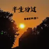 About 半生功过 Song