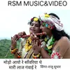 About MODO AAYO RE SANVARIYA THE MARI LAAJ GANVAI RE Song