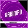 About Garimpo Song