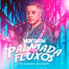 About Montagem Palmada dos Fluxos Song