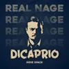 About DiCaprio Song