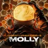 About MOLLY Song