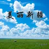 About 美丽新疆 Song