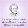 Romance In F Major For Violin And Orchestra, Op.50