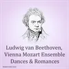 Romance In G Major For Violin And Orchestra, Op. 40