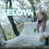 About Selow Song