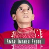 About Amar Imaner Phool Song