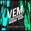 About Vem Cavalgando Sem Dó Song