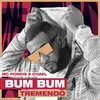 About Bumbum Tremendo Song
