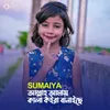 About Allah Amy Kala Koira Banaiche Song