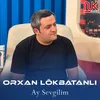 About Ay Sevgilim Song