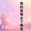 About 我的爱情去了哪里 Song