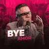 Bye Bye Amor