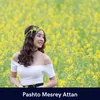 About Pashto Mesrey Attan Song