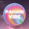 About Pahari Vibe Song