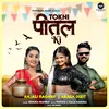 About Tokni Pittal Ki Song