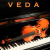 About Veda Song