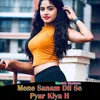 About Mene Sanam Dil Se Pyar Kiya H Song