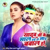 About Yadav Ji Ke Mal Hai Ho Jai Babal Ho Song