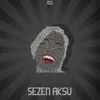About Sezen Aksu Song
