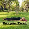 About Corpse Pose Song