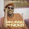 Mkungu Wa Ndizi
