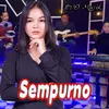 About Sempurno Song
