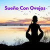 Sueño Con Ovejas