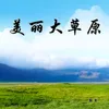 About 美丽大草原 Song