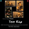 About Tere Bina Song