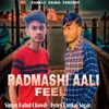 About Badmashi Aali Feel Song