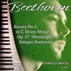 Piano Sonata No. 2 in C-Sharp Minor, Op. 27 "Moonlight": I. Adagio sostenuto