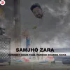 About Samjho Zara Song