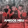 About Saudade dos Amigos Meu Song