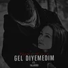 About Gel Diyemedim Song