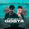 About Eu Sei Que Tu Gosta Song