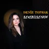 About Sevebilseydin Song