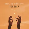 About Forever Song