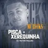 About Pisca a Xerequinha Song