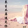 About 来生不再遇见你 Song