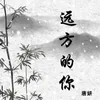 About 远方的你 Song