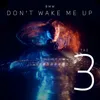 About Don't Wake Me Up Song